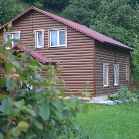 Pid Lisochkom Верховина Экстерьер фото